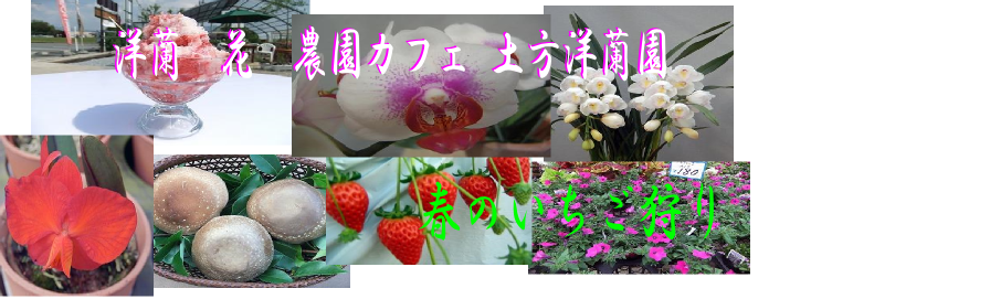 農業生産法人ひじかた洋蘭園
