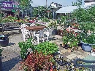 花売り場