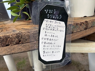 画像の説明