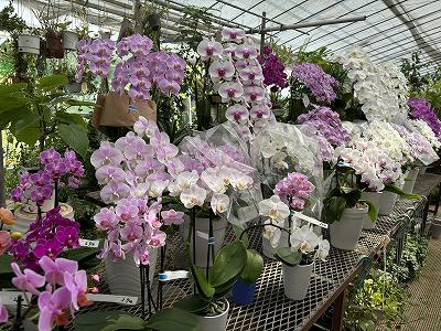 画像の説明 画像の説明