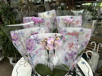 画像の説明 画像の説明