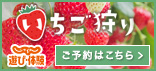 strawberry_156_71_01(1)