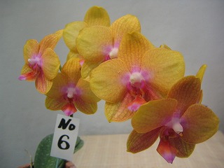 050421 028