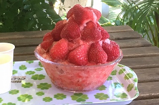 2021-07-06 10 2021-07-06 10