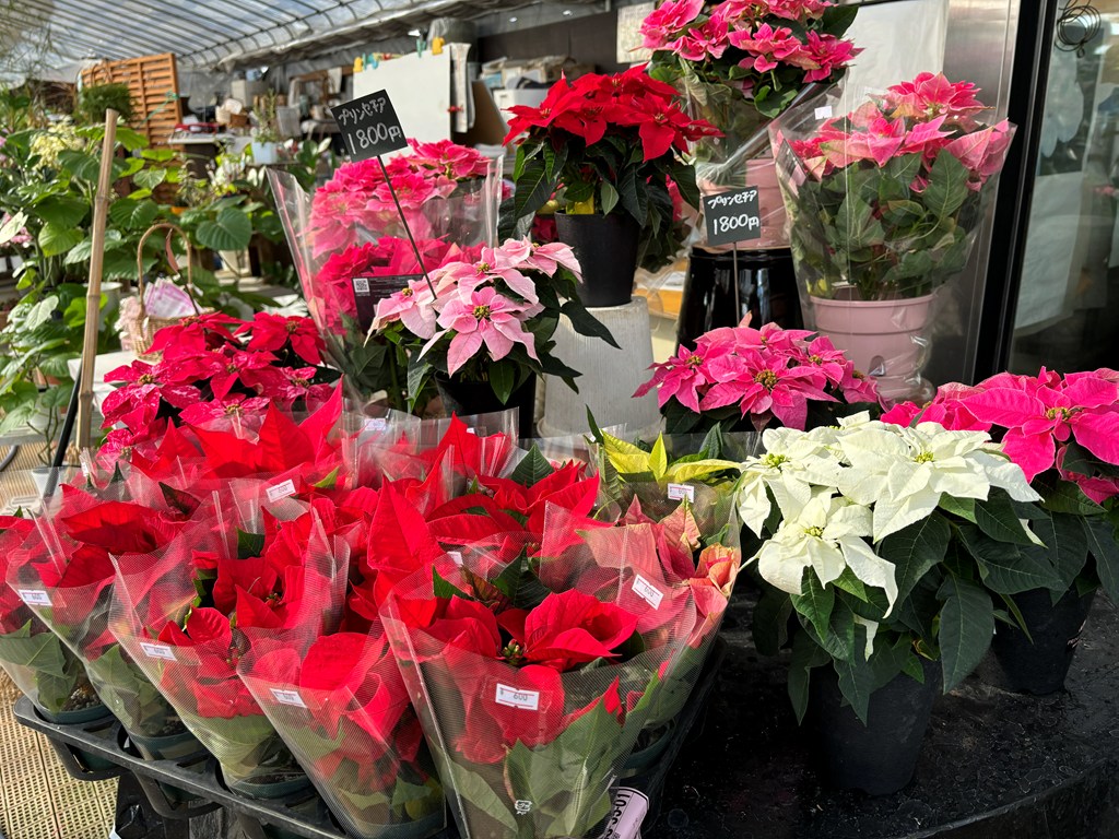 画像の説明 画像の説明