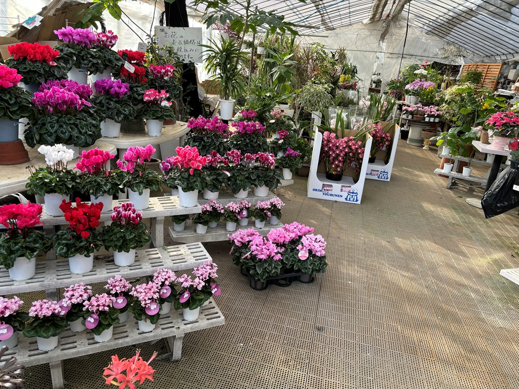 画像の説明 画像の説明