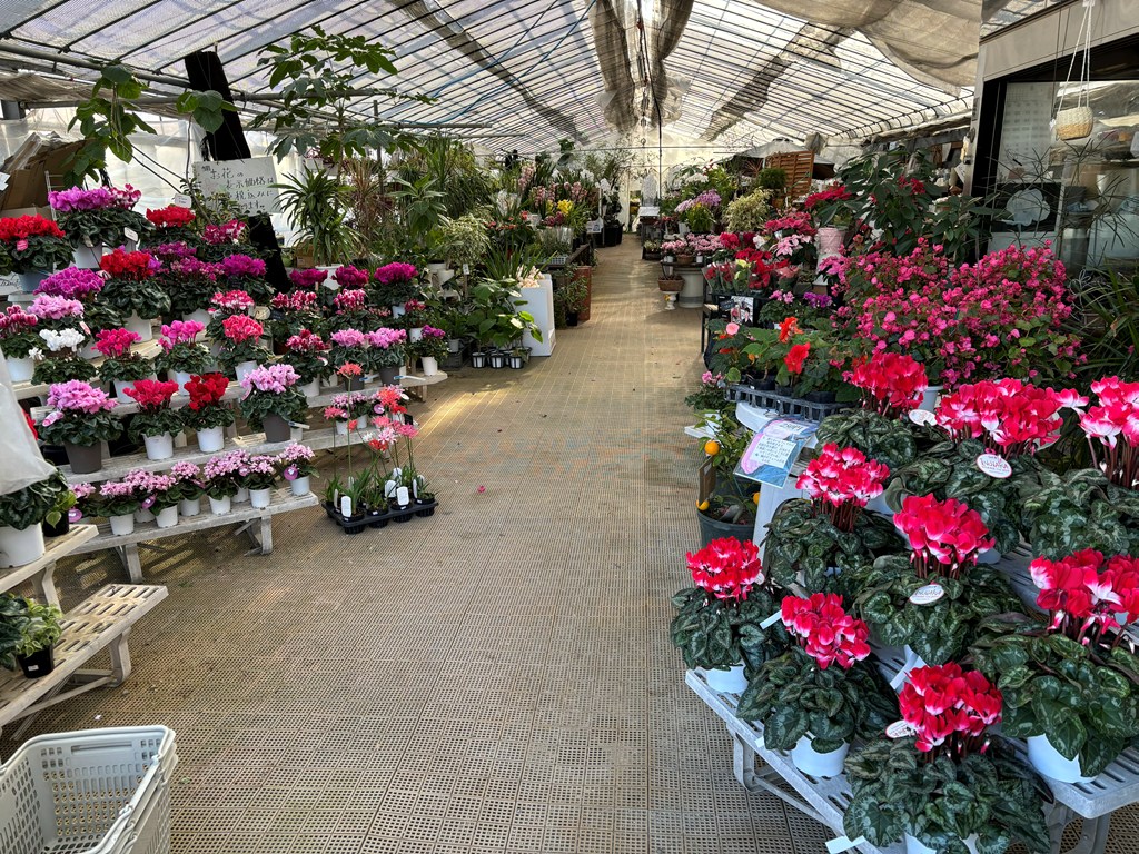 画像の説明 画像の説明