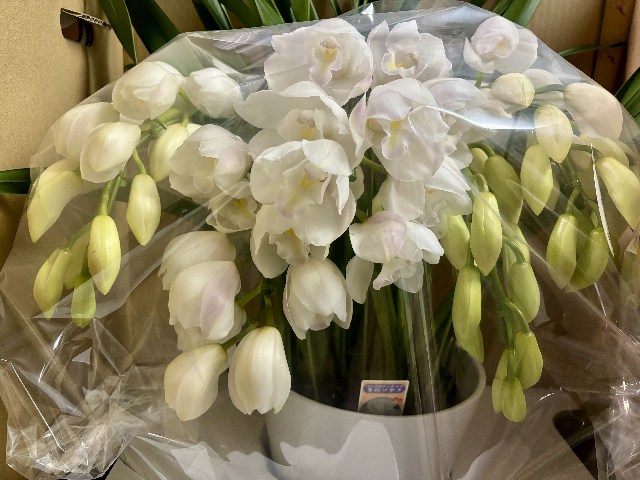 画像の説明 画像の説明